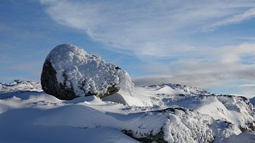 Sneeuwpracht hoog in de bergen bij Loen in Noorwegen