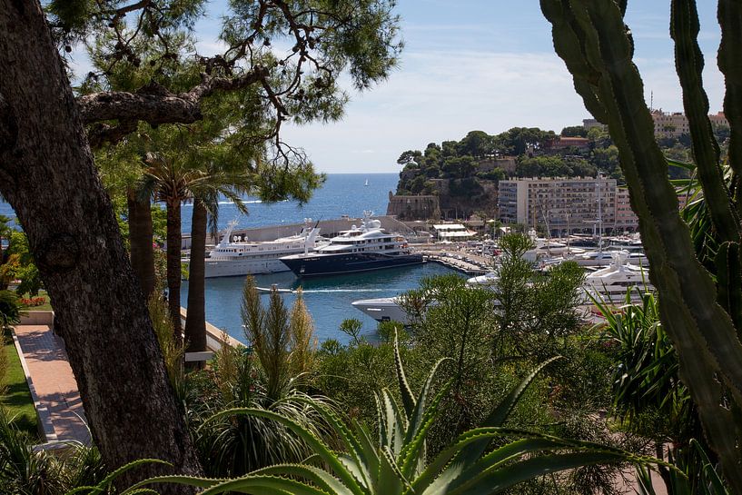 Haven van Monaco van Guido Akster