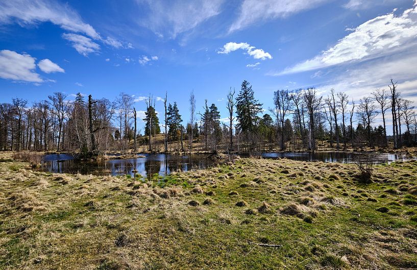 Swedish landscape with blue sky and clouds by Geertjan Plooijer