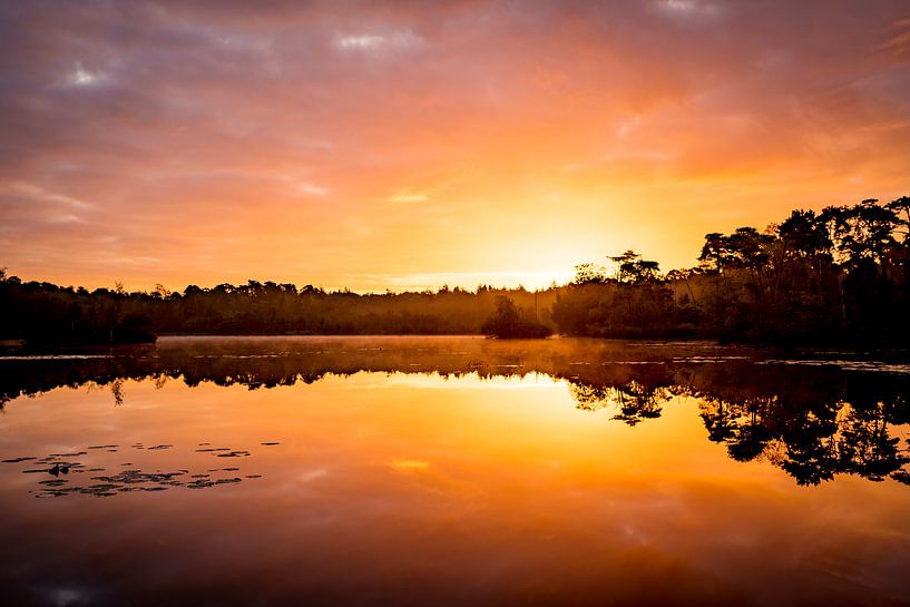Voorste Goorven, Oisterwijk Forests and Fens by Jacky Keeris