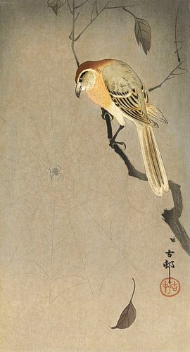 Buffalo wing shrike and spider (1900 - 1930) by Ohara Koson