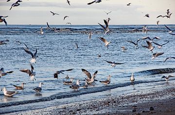 Katwijk aan Zee serie - Blauwe Zee van Wilma Overwijn