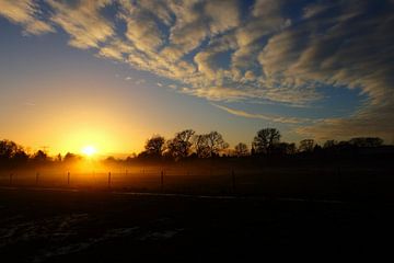 De laatste zon van Marian Klerx