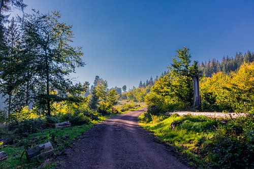Herfstige sfeer op de Rennsteig