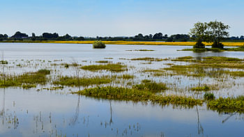 La rivière IJssel en dehors de ses rives