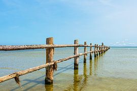 Ostseeküste am ehemaligen Nothafen Prerow auf dem Fischland-Dar von Rico Ködder