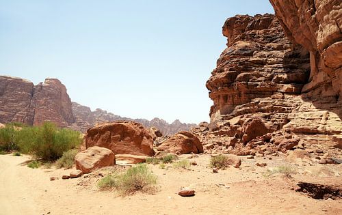 Woestijn landschap Jordanie