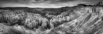 Bryce Canyon National Park in zwart-wit. van Manfred Voss, Schwarz-weiss Fotografie