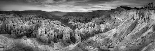 Bryce Canyon National Park in zwart-wit.