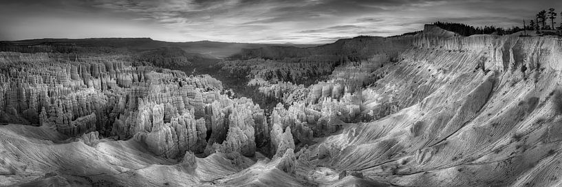 Bryce Canyon National Park in zwart-wit. van Manfred Voss, Zwart-Wit Fotografie