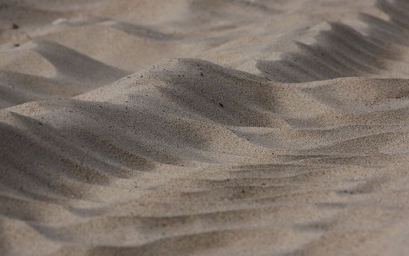 Sand pattern by MSP Canvas