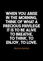 Marcus Aurelius