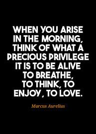 Marcus Aurelius van Faqih Akbar