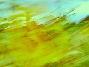 Sonnenblumen im Wind 3 van Andreas Gerhardt