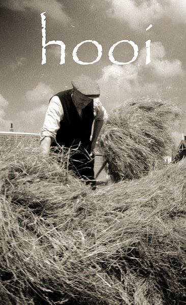 Hay time by It Alders Erf