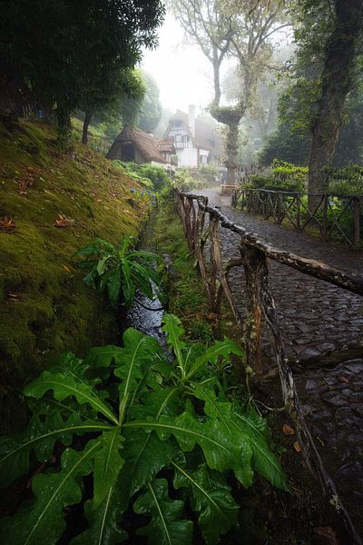 Madeira an einem regnerischen Tag von Martin Podt