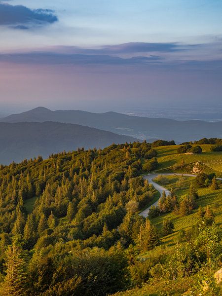 Mountain road in the Vosges by Martijn Joosse