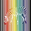 Regenboog zebra van Bianca Wisseloo thumbnail