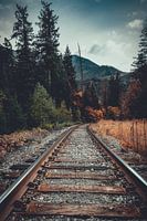 Where Summer Meets Fall