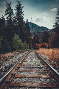 Where Summer Meets Fall