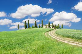 Farmhouse with cypresses, Val d'Orcia, Tuscany, Italy by Markus Lange