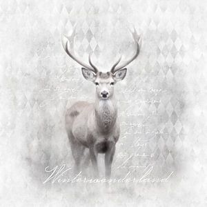 Cerf sauvage d'hiver blanc