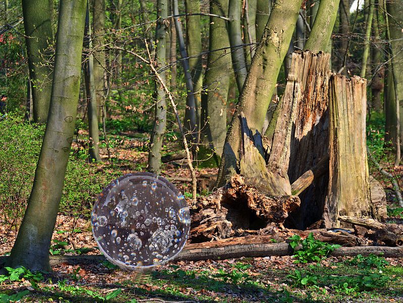 Tronc d'arbre avec boule de verre par Edgar Schermaul
