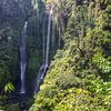 Sekumpul Wasserfall, grüne schlucht in Buleleng, Bali, Indonesien von Fotos by Jan Wehnert