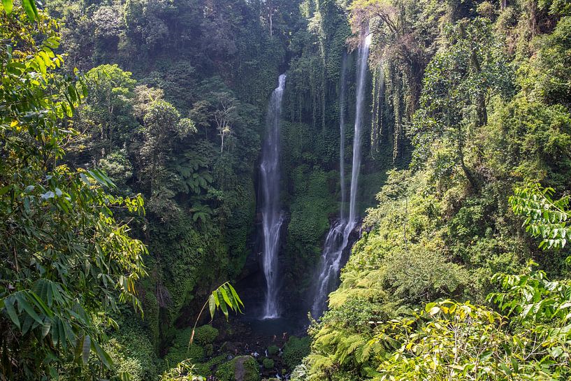 Sekumpul waterfall, green gorge in Buleleng, Bali, Indonesia by Fotos by Jan Wehnert