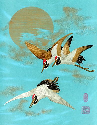 Drie sarus kraanvogels vliegen voor de maan, G.A. Audsley