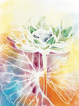 Kleurrijke lotus van Sara-Lena Möllenkamp