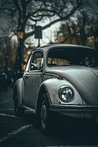 Volkswagen IV