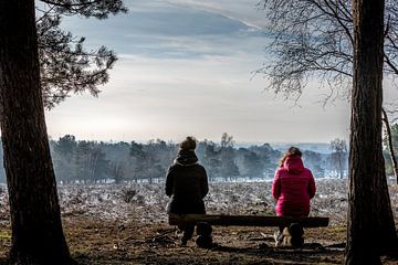 Profiter d'une matinée fraîche et d'un beau soleil