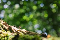 Samen is niet alleen