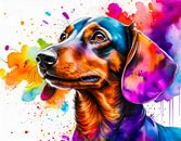 Watercolour portrait of a dachshund by Dutch Art Works thumbnail