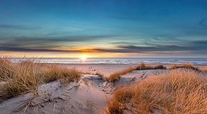 Strand Texel Pfahl 17 Sonnenuntergang Spaziergang mit Hund