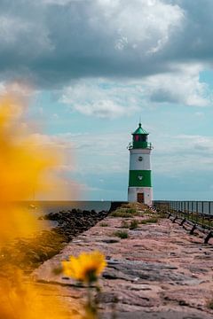 Lighthouse with flowers by Sophie Luther