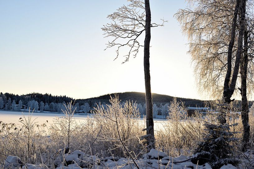 Hide and seek with sun by Christer Andersson