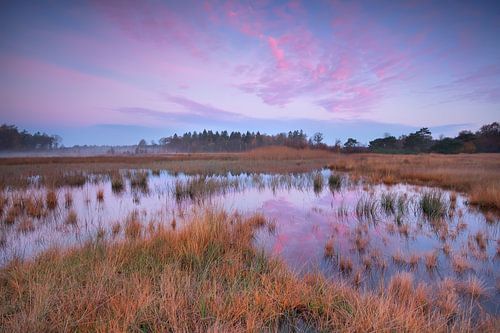 Silent autumn sunrise