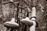 Two bikes chained with frozen saddle