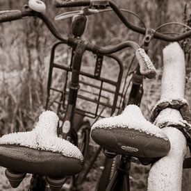 Zwei Fahrräder angekettet mit eingefrorenem Sattel von Diana Kors