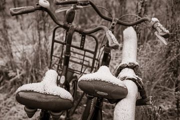 Twee fietsen met bevrorenzadel geketend