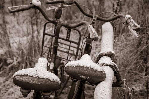 Twee fietsen met bevrorenzadel geketend