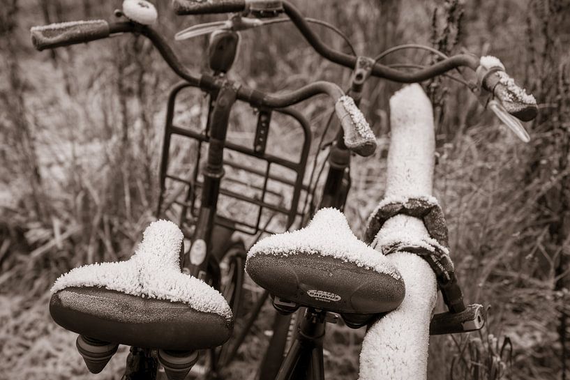 Twee fietsen met bevrorenzadel geketend van Diana Kors
