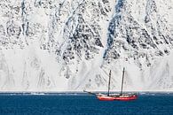 Sailing ship S/V Northern Lights in the Signehamna bay by Martijn Smeets thumbnail