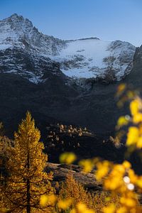 Automne d'or