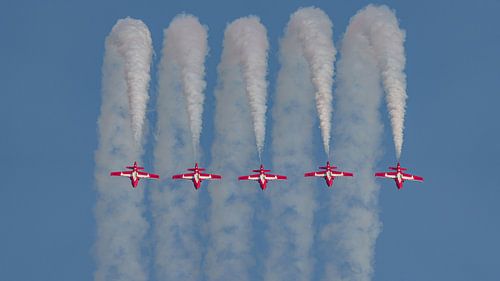 Canadian Armed Forces Snowbirds.
