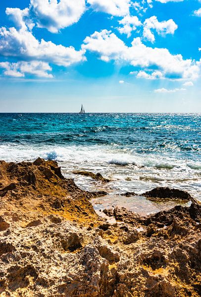 Idyllisch kustlandschap met zeilboot aan de horizon van Alex Winter