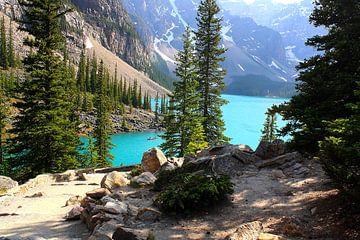 Lake Moraine in Banff National Park, Alberta, Canada van Thomas Zacharias