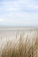 Zee, blauwe lucht, duinen, grashalmen op Schiermonnikoog | natuur fine art foto